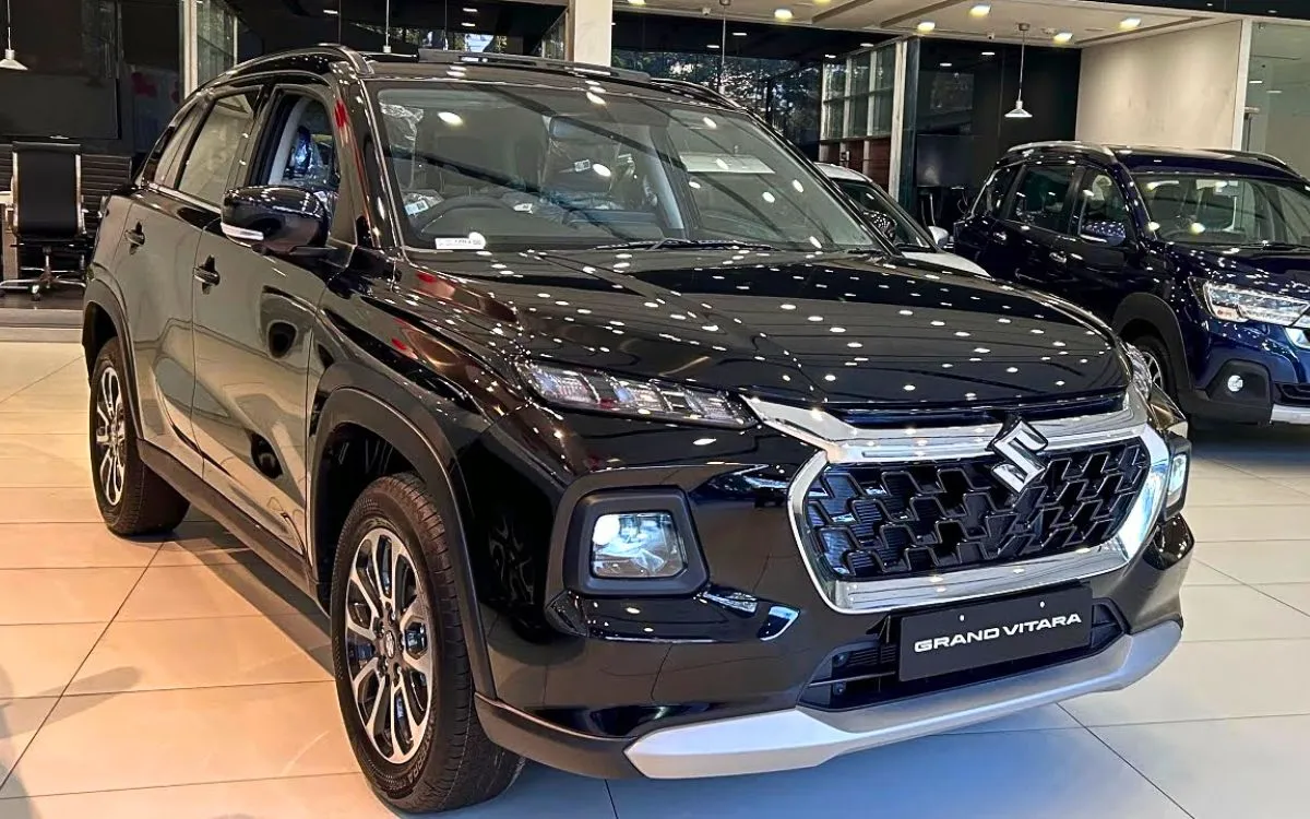 Grand Vitara 2025